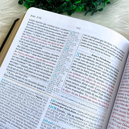 Biblia de Estudo King James 1611 (Estudo Holman) [imitation_leather] BVBOOKS [Jan 01, 2018] - BLUE