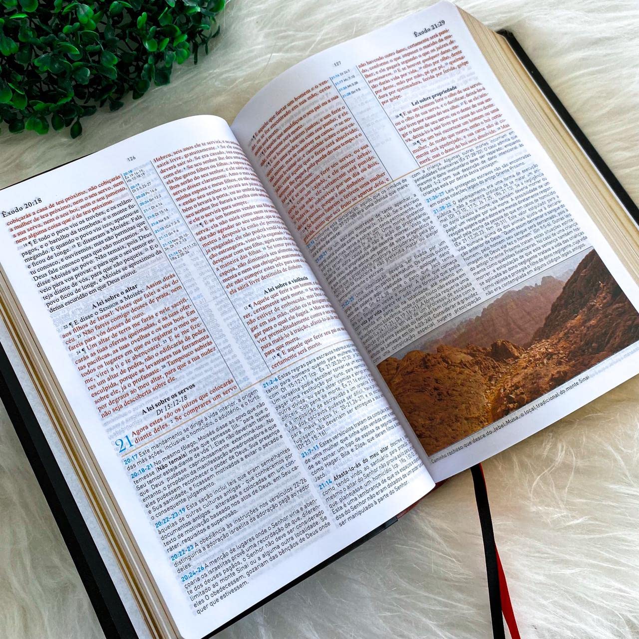 Biblia de Estudo King James 1611 (Estudo Holman) [imitation_leather] BVBOOKS [Jan 01, 2018] - BLUE