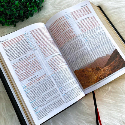 Biblia de Estudo King James 1611 (Estudo Holman) [imitation_leather] BVBOOKS [Jan 01, 2018] - BLUE