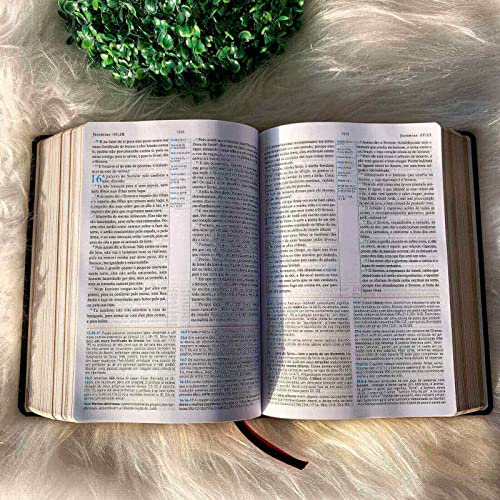 Biblia de Estudo King James 1611 (Estudo Holman) [imitation_leather] BVBOOKS [Jan 01, 2018] - BLUE