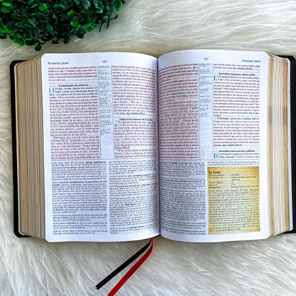 Biblia de Estudo King James 1611 (Estudo Holman) [imitation_leather] BVBOOKS [Jan 01, 2018] - BLUE