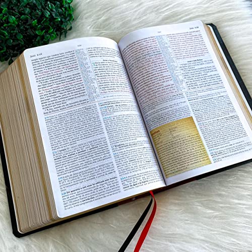 Biblia de Estudo King James 1611 (Estudo Holman) [imitation_leather] BVBOOKS [Jan 01, 2018] - BLUE