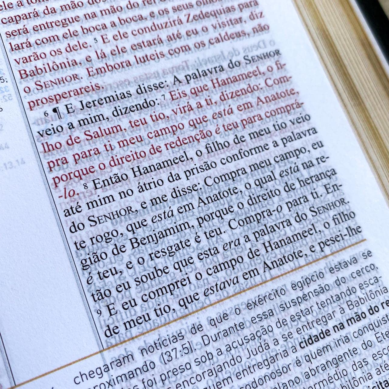 Biblia de Estudo King James 1611 (Estudo Holman) [imitation_leather] BVBOOKS [Jan 01, 2018] - BLUE