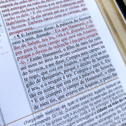 Biblia de Estudo King James 1611 (Estudo Holman) [imitation_leather] BVBOOKS [Jan 01, 2018] - BLUE