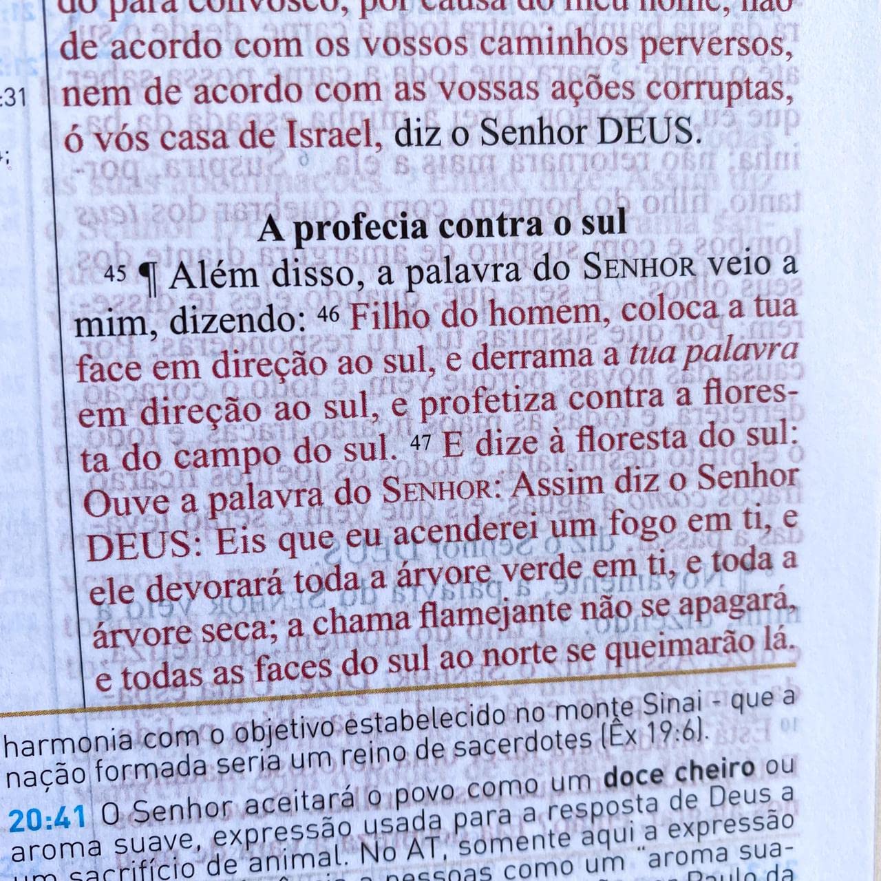 Biblia de Estudo King James 1611 (Estudo Holman) [imitation_leather] BVBOOKS [Jan 01, 2018] - BLUE