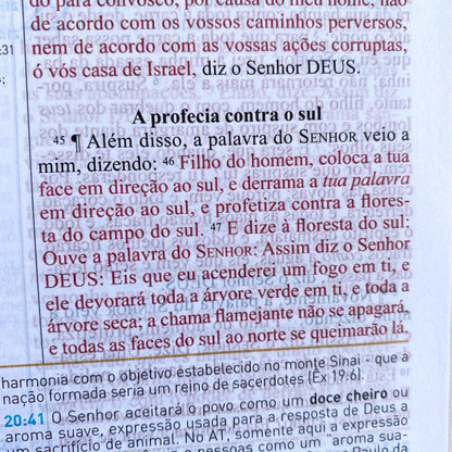 Biblia de Estudo King James 1611 (Estudo Holman) [imitation_leather] BVBOOKS [Jan 01, 2018] - BLUE