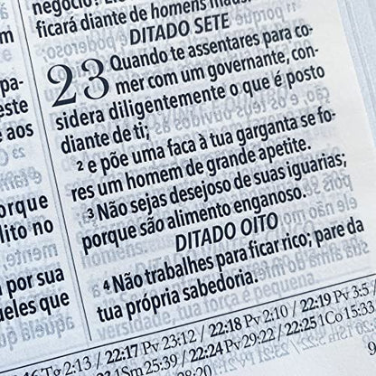 BÍBLIA KING JAMES FIEL 1611 COM ESTUDO HOLMAN ROSÊ