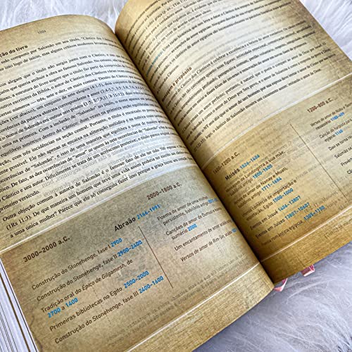 BÍBLIA KING JAMES FIEL 1611 COM ESTUDO HOLMAN ROSÊ