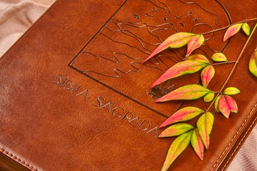 The Purpose Book: Bíblia A21, Couro soft, Janela