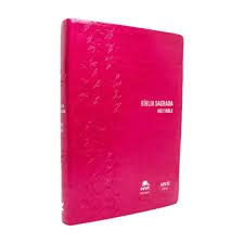 Bíblia NVI Português/Inglês Pink - Holy Bible NIV English/ Portuguese - Bilingual Bible English/Portuguese - Biblia Bilingue Portugues/Ingles