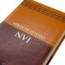 Bíblia de Estudo NVI Marrom e Caramelo - Em Portugues do Brasil - Mais de 20 mil notas no rodapé - Mapas, quadros, diagramas e ilustrações