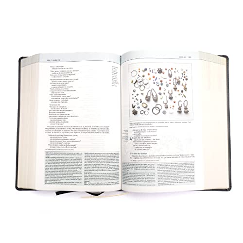 Biblia de estudo Thomas Nelson (Em Portugues do Brasil)
