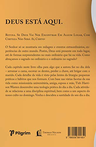 Liturgia do ordinario - praticas sagradas na vida cotidiana (Em Portugues do Brasil)