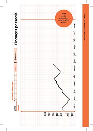 Metodo Financeiro Do Primo Rico (Em Portugues do Brasil)