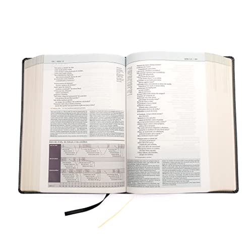 Biblia de estudo Thomas Nelson (Em Portugues do Brasil)