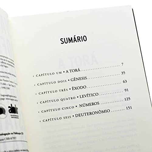 Lendo o Antigo Testamento sob a ótica judaica: Um estudo da Bíblia que Jesus lia