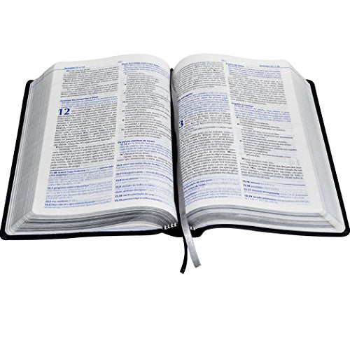 Bíblia de Estudo NTLH (Biblia de Estudio NTLH) / NTLH Study Bible (Portuguese Edition)