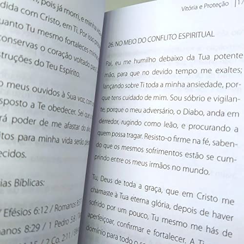 Orando A Palavra (Livro De Bolso)