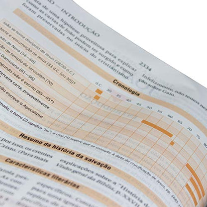 NAA Bíblia de Estudo Nova Almeida Atualizada (Português - Portuguese)