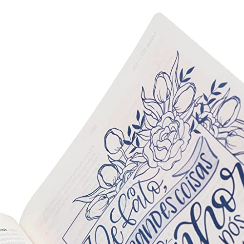 A Biblia da Mulher - NAA - Azul - Letra Grande - Portugues do Brasil - Tulipa - SBB - Compacta