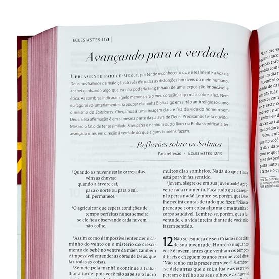 Bíblia C. S. Lewis: NVT - Capa Dura - Portugues do Brasil - Leituras dos célebres clássicos espirituais de Lewis - Letra Grande - Leitura Perfeita