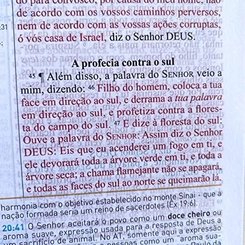 Bíblia King James 1611 de Estudo Holman - Marrom com Preta (Em Portugues do Brasil)